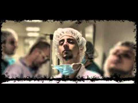 Ace Nl, Kacar & Sigi ( Toksikologija ) - Sadime