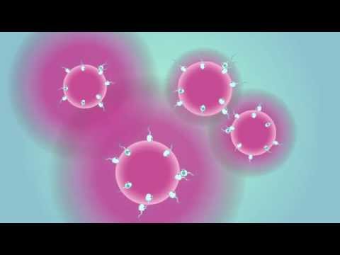 2014 UWA 3MT People's Choice: A tale of two gametes - Rowan Lymbery