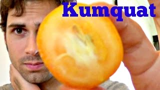 Kumquat Review - Weird Fruit Explorer in Malaysia - Ep 97