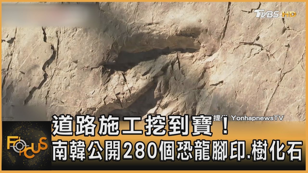 道路施工挖到寶！南韓公開280個恐龍腳印.樹化石
