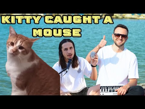 The Kiffness x Spaul x Kyro (Singing Cat) - Kitty Caught a Mouse