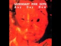 The Legendary Pink Dots - Plasma Twins