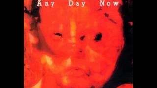 The Legendary Pink Dots - Plasma Twins