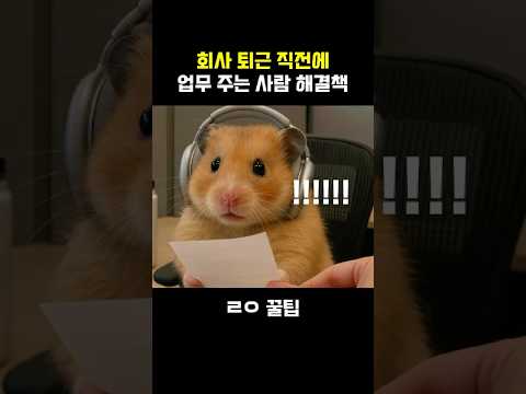 무례한 업무요청! 해결하는 초간단 방법