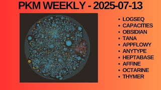 PKM (Personal Knowledge Management) Weekly Update - 2025-07-13