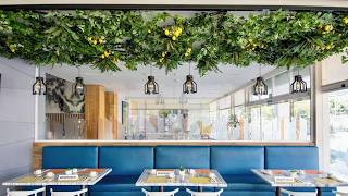 Hotel Velvet Plaza, Guadalajara, Mexico | Travel With Hema