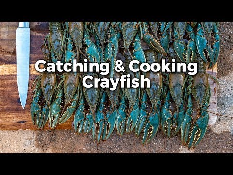 Crayfish: Catch 'em and Cook 'em!
