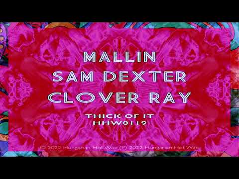 Mallin, Sam Dexter, Clover Ray - Thick Of It (Extended Mix)