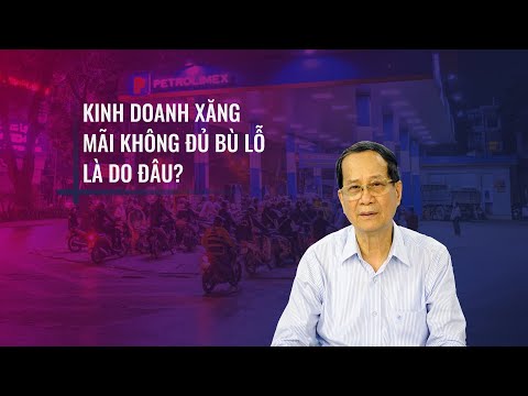 , title : 'TS Ngô Trí Long: Giao toàn diện việc quản lý xăng dầu cho Bộ Công Thương là khả thi | VTC Now'