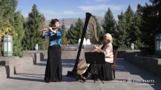 Danny Boy - Londonderry Air - Best Instrumental Harp & Flute Music Solo - Classic Irish Music Song