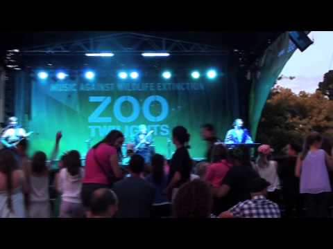 BABBA Live at Melbourne Zoo 2013
