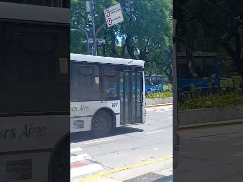 Linea 114 int. 197 (Italbus Tropea)