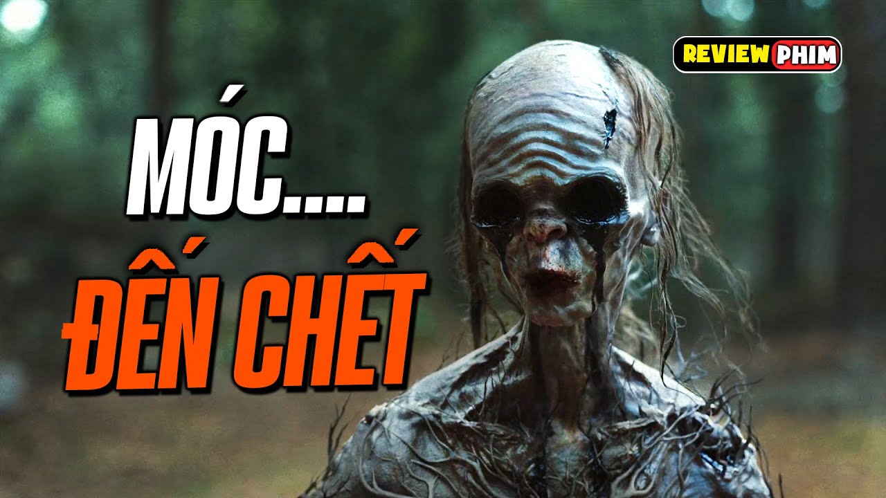 Vào Rừng Nhìn Thấy Thứ Này Thì Xác Định Bị Móc... Đến Chết - Review Phim EYE FOR AN EYE