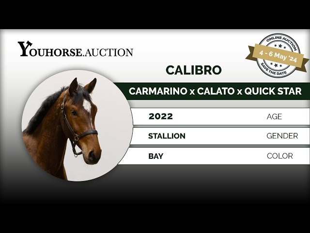 Calibro