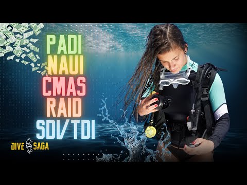 The Power of SCUBA Training Agencies Explained | SCUBA SCIENCE 15 | Which one is better?