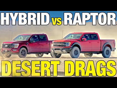 You won't believe who wins! Ford Raptor vs. F-150 Hybrid | 0-60, Horsepower, Off-Roading & More