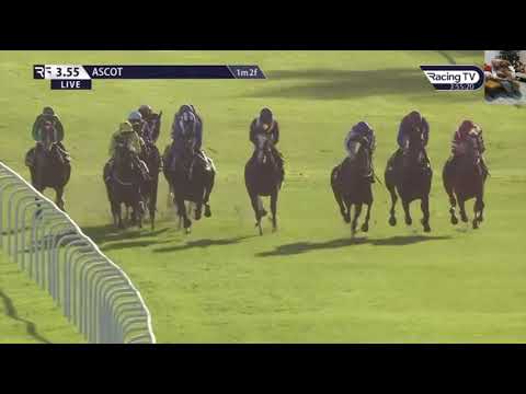 Race (5) 15:55 Ascot 19 Oct 2024 Qipco Champion Stakes Group 1 | British Champions Middle Distance