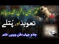 Ghar Men Dafan Shuda Jadu Ko Jalane Ka Dam Ruqyah Shariah Hafiz Ali Irshad Official