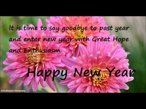 True Pic New Year Cards Video