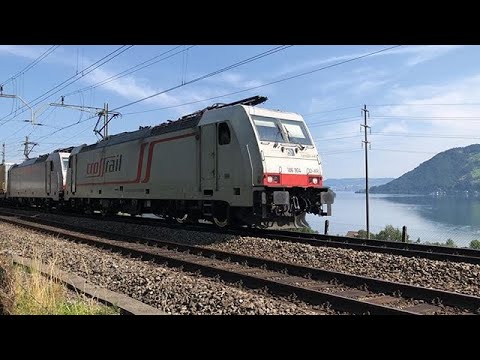 Bahnverkehr in Immensee (ZG) / Trafic Ferroviaire à Immensee (ZG)