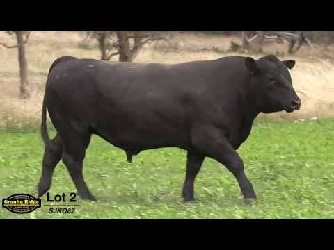 GRANITE RIDGE QUARTERPOUNDER Q82