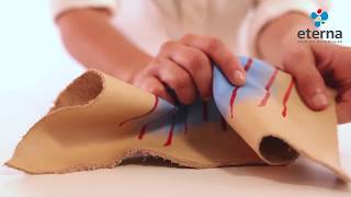 Video de ETERNA Pintura para Tela 37 ml Para pintar y decorar telas de algodón, lienzo y fibras naturales
