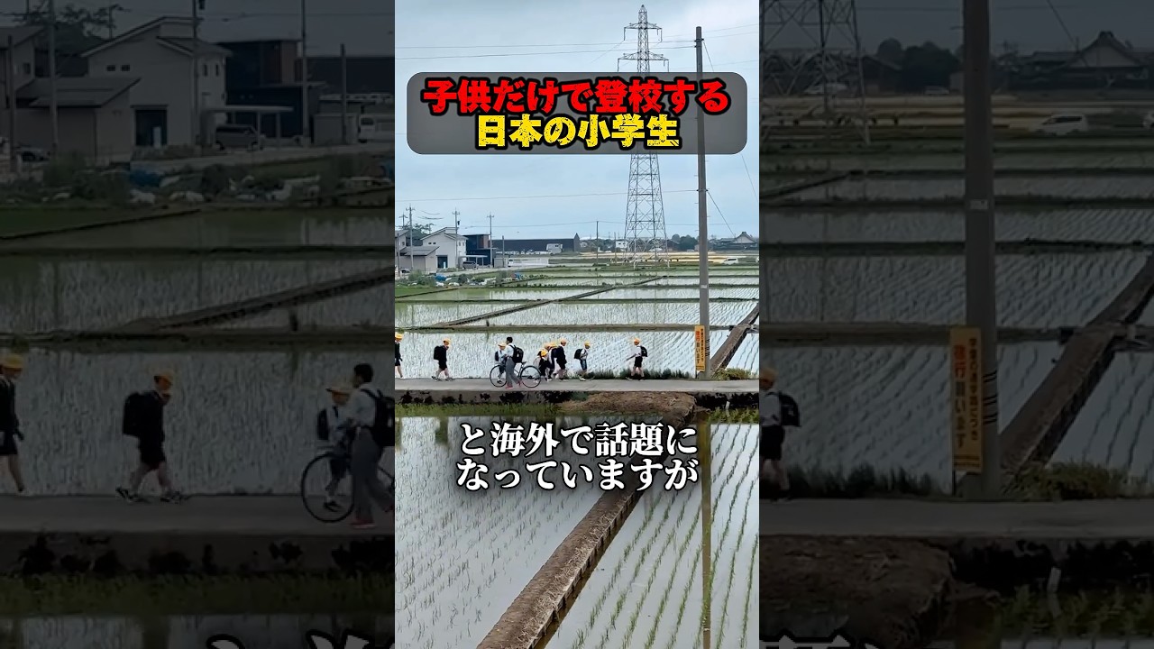 子供だけで登校する日本の小学生たち