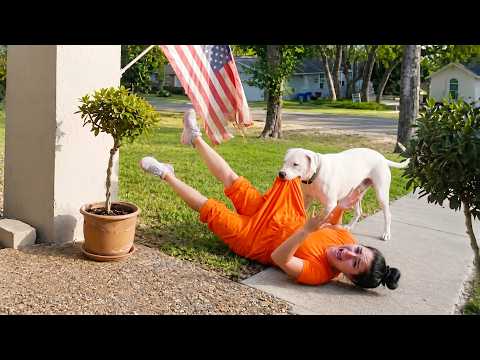 Best Funny Videos Of 2026 😂😁 | Try Not To Laugh CHALLENGE Impossible #37