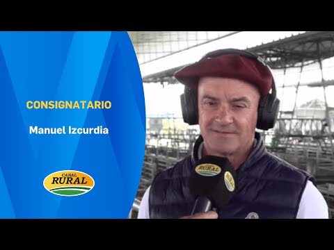 Manuel Izcurdia | Next Tuesday, TV auction with 27,000 head of cattle | 11/28/25 | MV