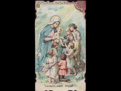 DISCUSSION ON THE TRINITY & THE MAGI ARRIVE: WISEMEN STILL WORSHIP HIM!