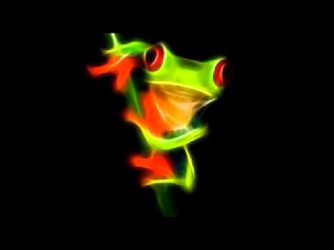 0594 Xamanica - Icaro - Hebert Quinteros - Tribus