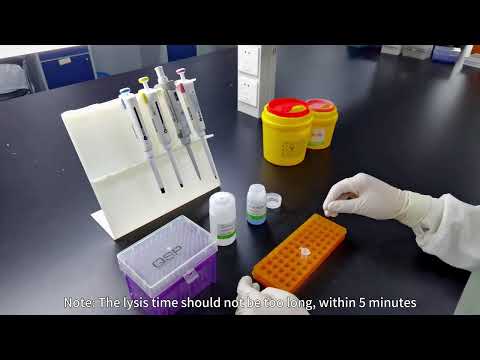 TransGen-Plasmid Extraction