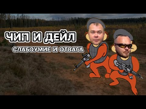 Видео
