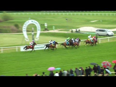 Galopp – Großer Dallmayr-Preis mit 155 000 Euro Preisgeld auf der Rennbahn München