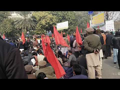 lesco employed strike