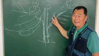 체리결과습성 이해하기 1편