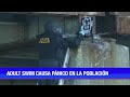 Inicio De Transmisiones Oficial De Adult Swim Latinoamérica 31 10 23