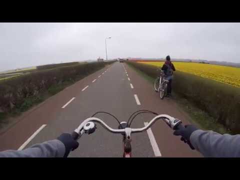 Biking the flower fields around Keukenhof - Lisse, Holland