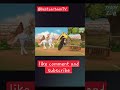 BestcartoonTV Famous Cartoon Ekmotahathighumechala Shortvideo