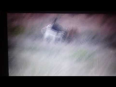 Luli hija de Cafú y Chunga una del 25 08 2019