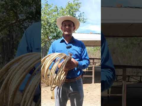 LA SOGUILLA DE CUERO CRUDO Y SUS MANTENIMIENTOS.  PIALES CORVEROS.
