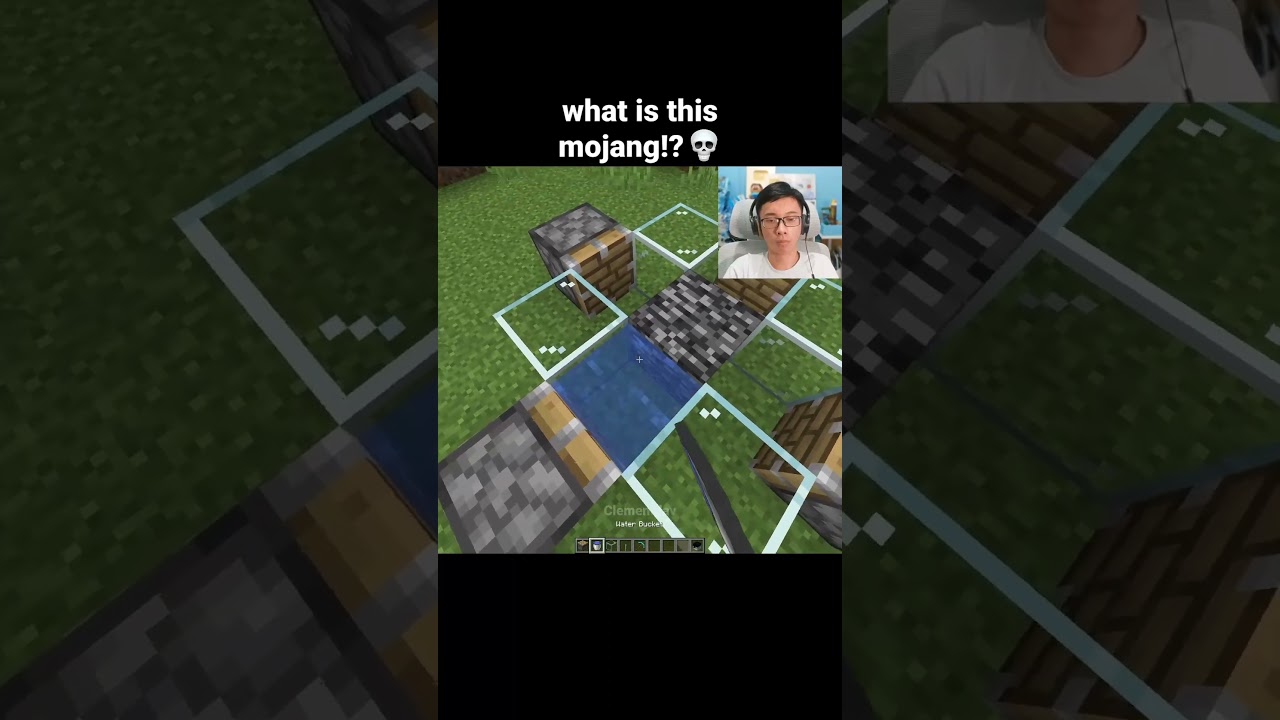 Minecraft Bedrock Glitch Moment