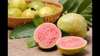 अमरूद खाने के फायदे - Benefits Of Guava - Health Care Tips In Hindi | DOWNLOAD THIS VIDEO IN MP3, M4A, WEBM, MP4, 3GP ETC