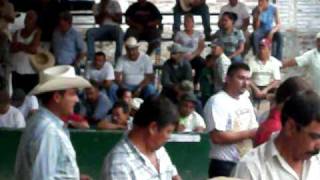 preview picture of video 'Gallos En El Amarillo Jalisco 2010'