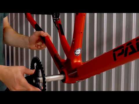 Toronto Hustle - Basso Palta Build