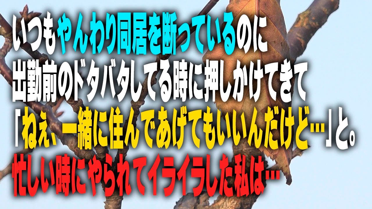 【スカッとする話】トメ「ねぇ、一緒に住んであげてもいいんだけど…」→いつもやんわり同居断ってるのに、忙しい時にやられてイライラした私は…【修羅場】