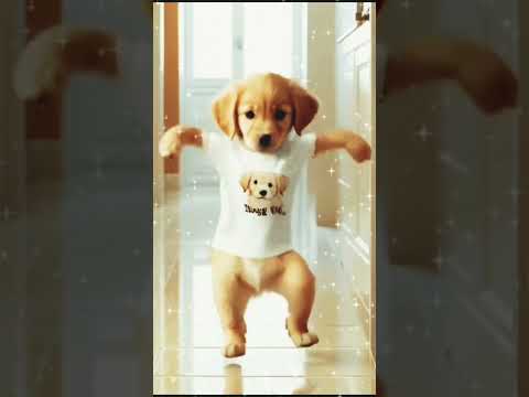 Dog motorcycle dance #cat #funny #cute #doglife #cartoon #dogsofinstagram