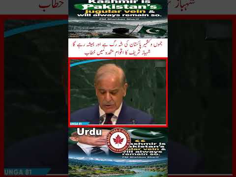 Kashmir is Pakistan’s jugular vein &  will always remain so: PM Shehbaz Sharif