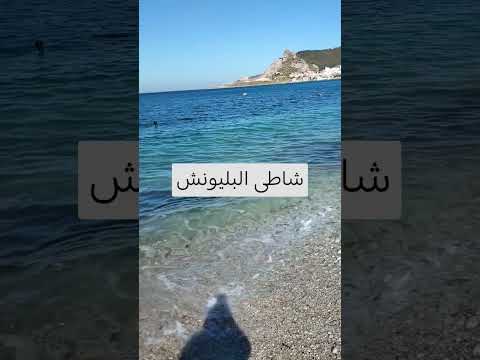 شاطى البليونش