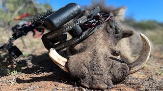 BUSHMEN SAFARIS | 4K Episode 2 | South Africa